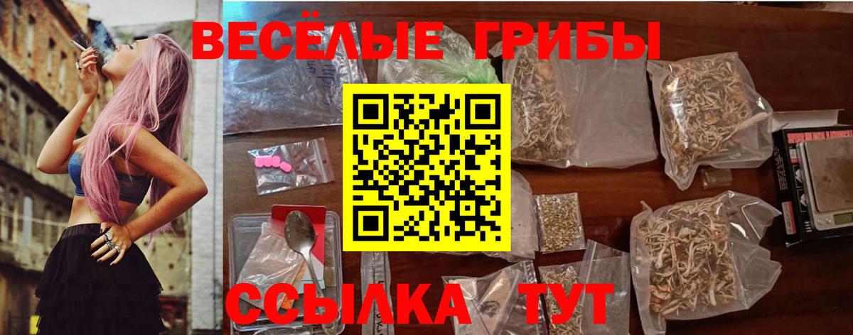 Псилоцибиновые грибы Psilocybine cubensis Североуральск